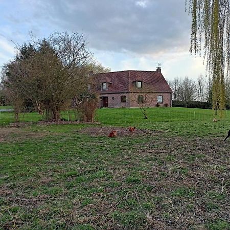 Les Chambres D'Hotes Du Vert Galant " L'Allee Des Champs" Verlinghem Exterior foto