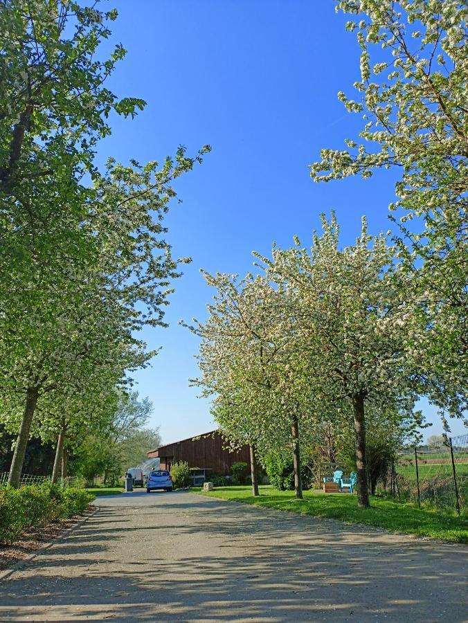 Les Chambres D'Hotes Du Vert Galant " L'Allee Des Champs" Verlinghem Exterior foto