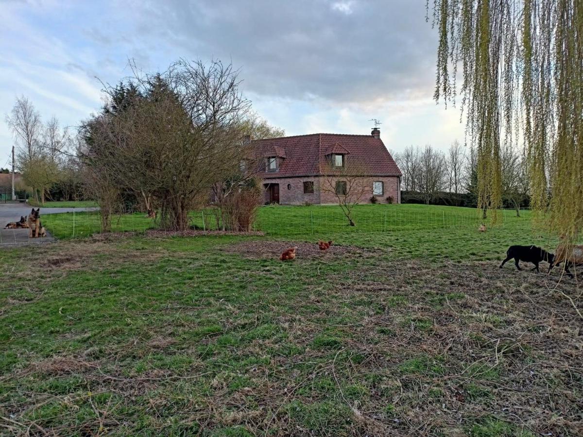 Les Chambres D'Hotes Du Vert Galant " L'Allee Des Champs" Verlinghem Exterior foto