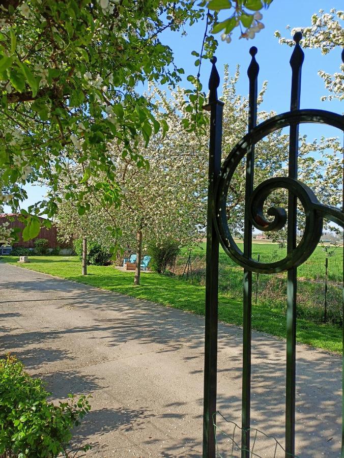 Les Chambres D'Hotes Du Vert Galant " L'Allee Des Champs" Verlinghem Exterior foto